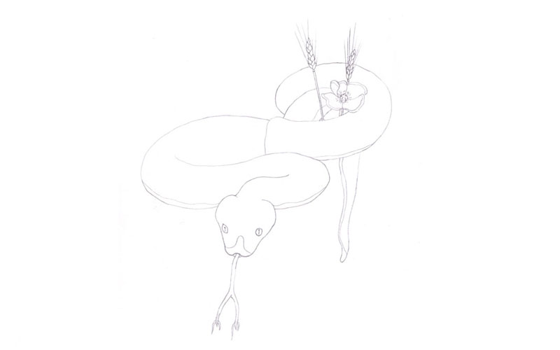 drawing of agathodaemon