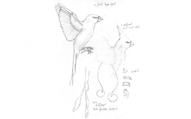 sketch of a bird with beak and feather variations