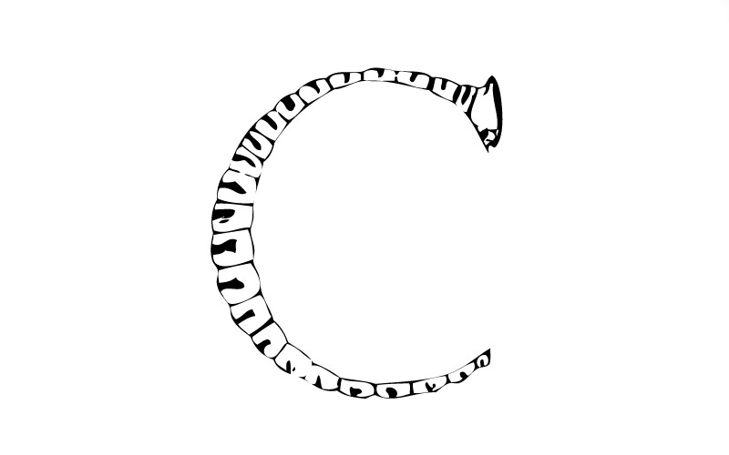 abstract drawing of a caterpillar in the shape of the letter C