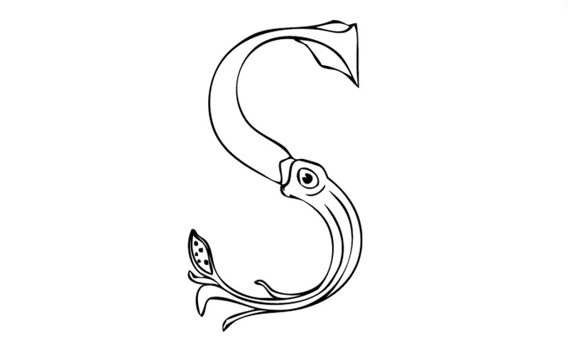 abstract drawing of a squid in the shape of the letter S