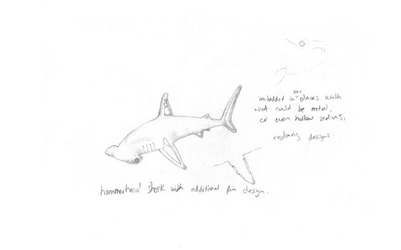 abstract sketch of a shark