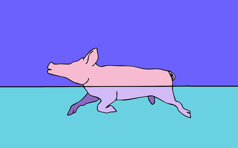 abstract graphic of the zodiac water pig