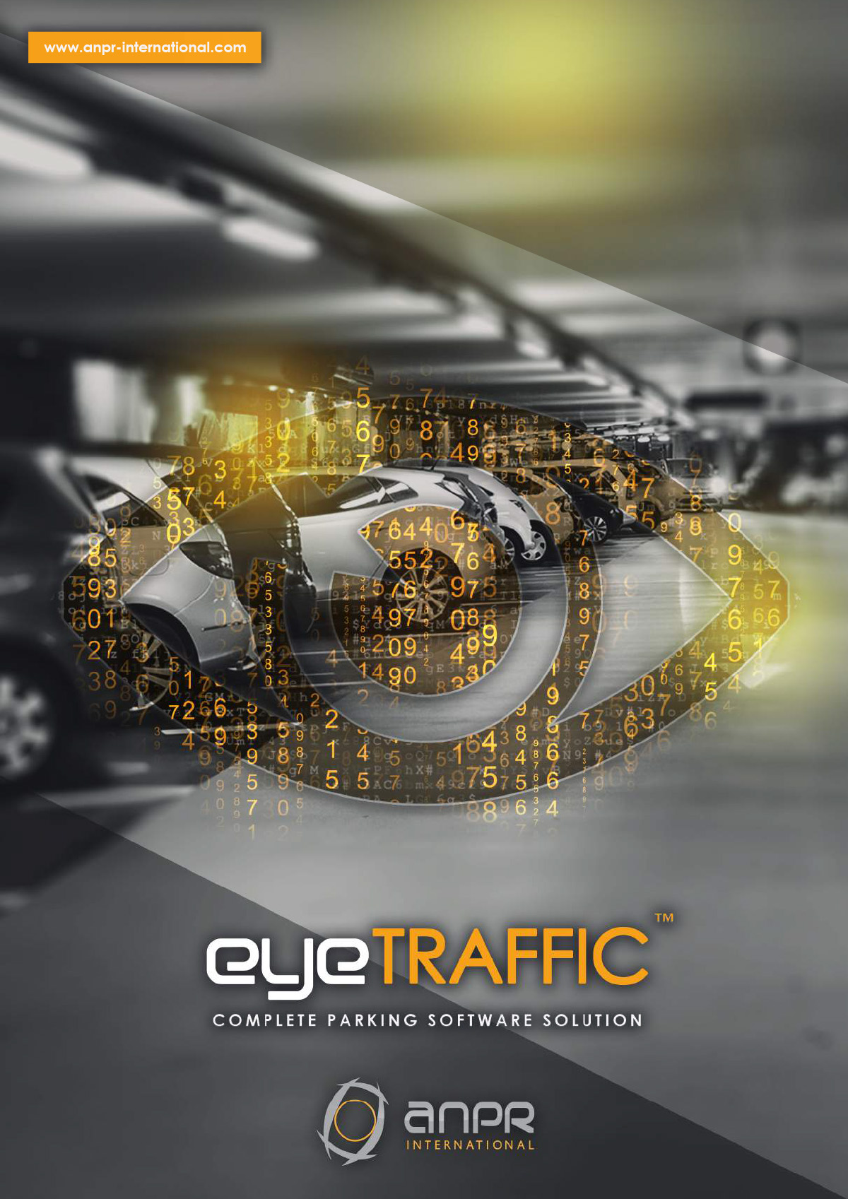 brochure preview image